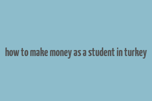 how to make money as a student in turkey