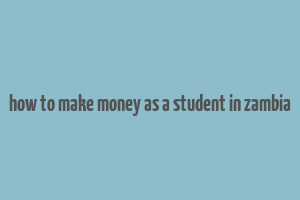 how to make money as a student in zambia