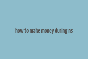 how to make money during ns