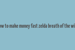 how to make money fast zelda breath of the wild