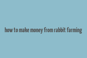 how to make money from rabbit farming