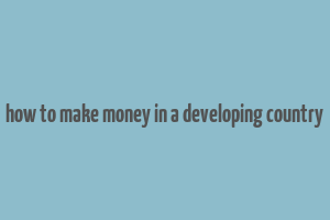 how to make money in a developing country