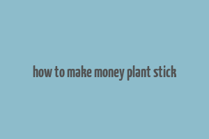 how to make money plant stick