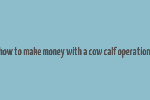 how to make money with a cow calf operation