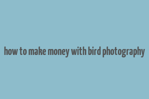 how to make money with bird photography