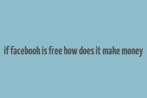 if facebook is free how does it make money