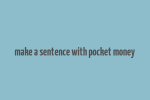 make a sentence with pocket money