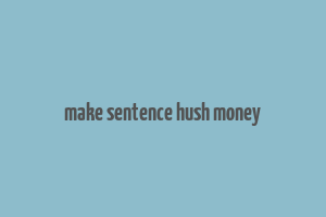 make sentence hush money