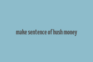 make sentence of hush money