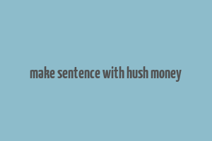 make sentence with hush money