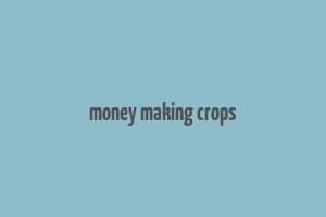 money making crops