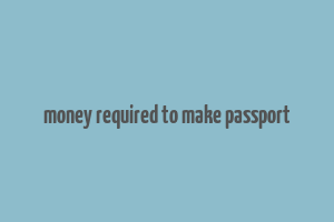 money required to make passport