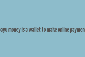 payu money is a wallet to make online payment