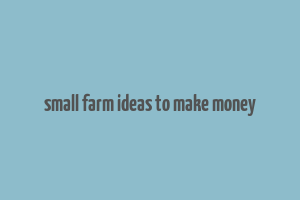 small farm ideas to make money