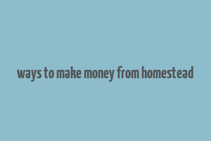 ways to make money from homestead