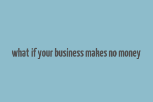 what if your business makes no money