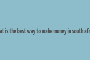 what is the best way to make money in south africa