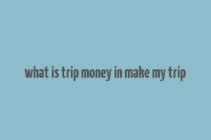 what is trip money in make my trip