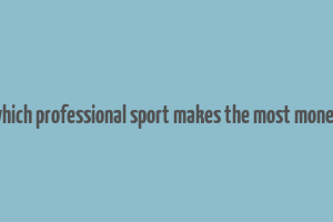 which professional sport makes the most money