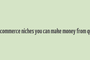 187 ecommerce niches you can make money from quickly