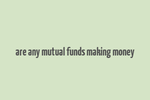 are any mutual funds making money