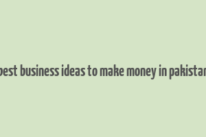 best business ideas to make money in pakistan