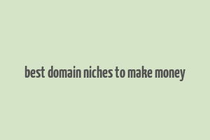 best domain niches to make money