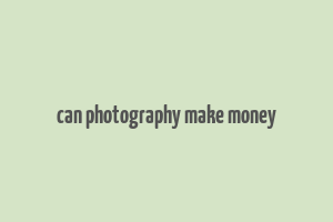 can photography make money