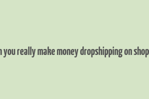 can you really make money dropshipping on shopify