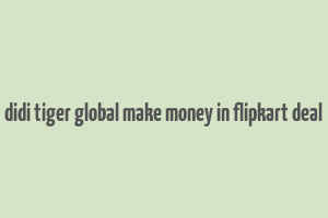 didi tiger global make money in flipkart deal