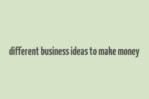 different business ideas to make money