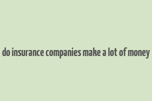 do insurance companies make a lot of money