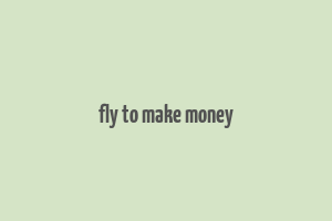 fly to make money