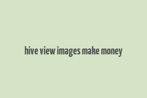 hive view images make money