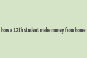 how a 12th student make money from home