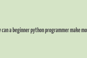 how can a beginner python programmer make money