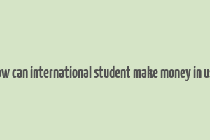 how can international student make money in usa