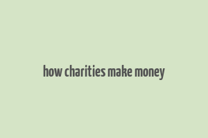 how charities make money