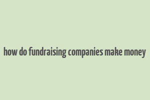 how do fundraising companies make money