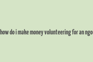 how do i make money volunteering for an ngo