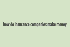 how do insurance companies make money