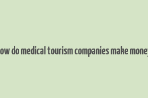 how do medical tourism companies make money