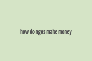 how do ngos make money