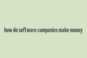 how do software companies make money