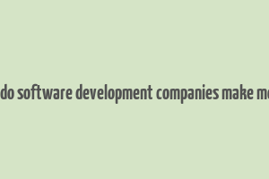 how do software development companies make money