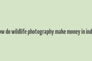 how do wildlife photography make money in india