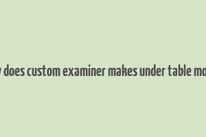 how does custom examiner makes under table money