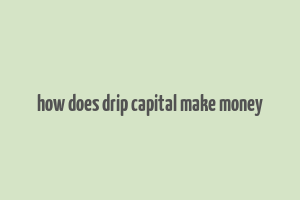 how does drip capital make money