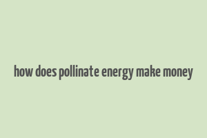 how does pollinate energy make money