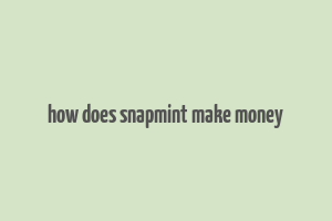 how does snapmint make money